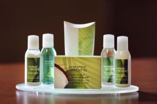 Lakeview Inns & Suites - Edson Airport West Ανέσεις φωτογραφία